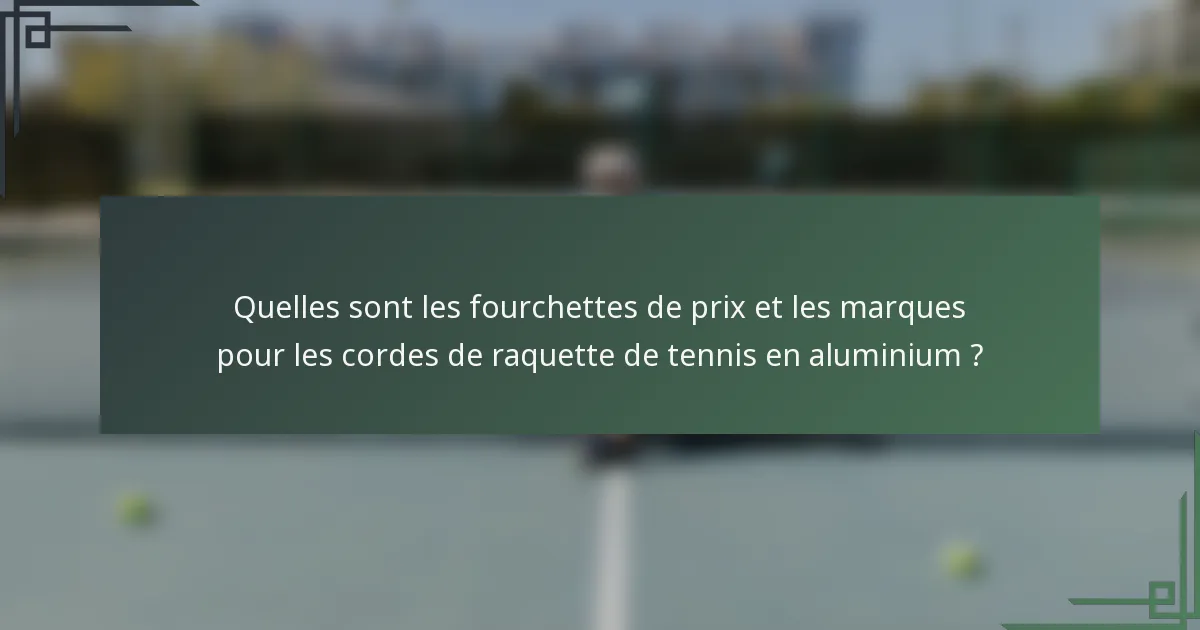 Quelles sont les fourchettes de prix et les marques pour les cordes de raquette de tennis en aluminium ?