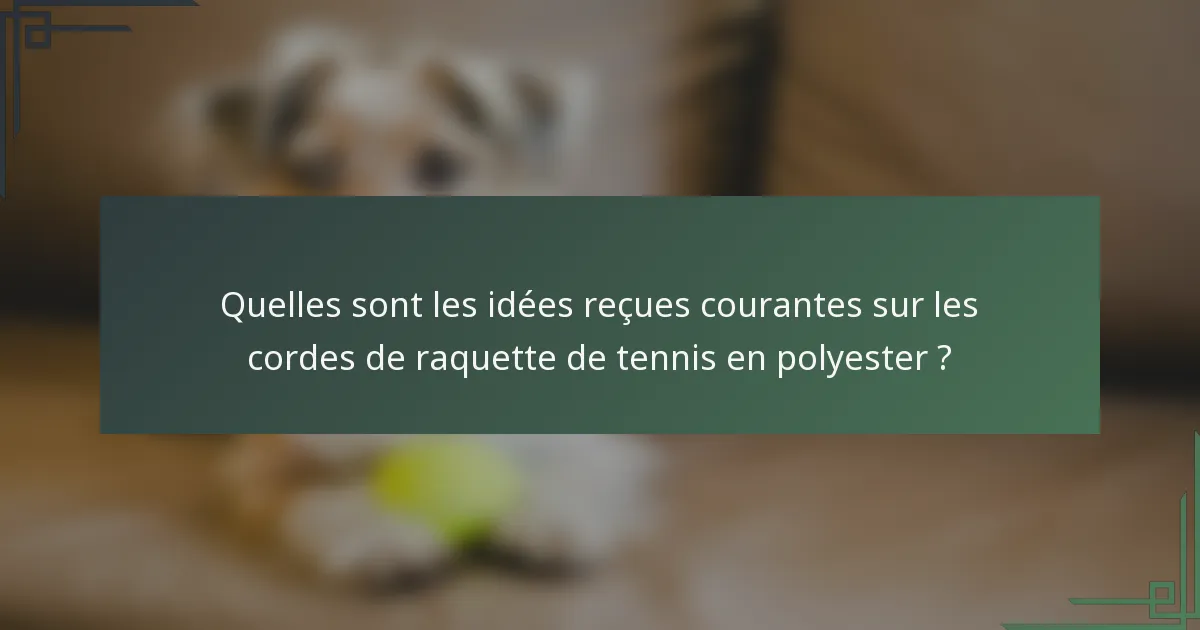 Quelles sont les idées reçues courantes sur les cordes de raquette de tennis en polyester ?