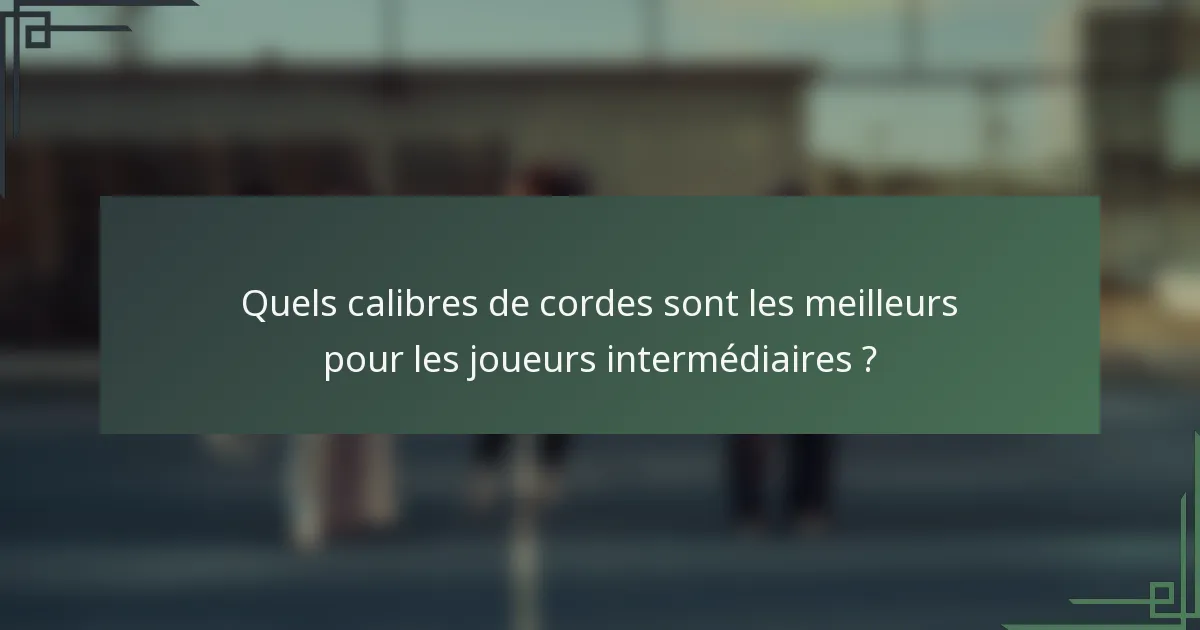 Quels calibres de cordes sont les meilleurs pour les joueurs intermédiaires ?